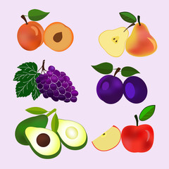 ПечатьSet of Vector Illustration Icons fruits with leaves, fruits collection. Organic fresh fruits flat design