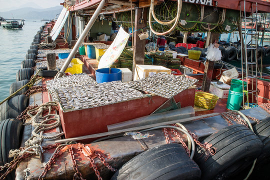 Fishing boat and its drying fish under the sun