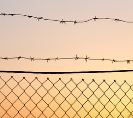 Barbed wire at sunset