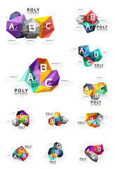 Moden low poly infographics template