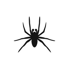 spider icon illustration