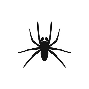 spider icon illustration