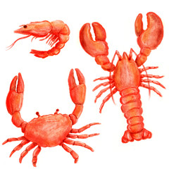 Watercolor set of red lobster, crab, shrimp, isolated on white background.