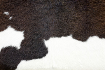 Cowhide, cow skin background.