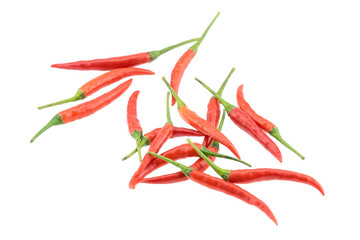 Red bird chili isolated on white background.