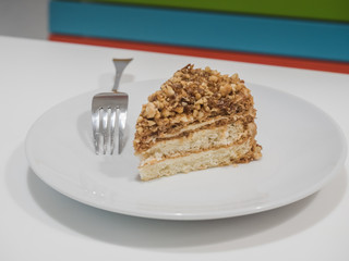 Picture of the cake on the white plate close up. Side view of the cake with fork on white background.