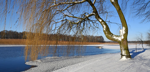 Zima nad rzeką 
