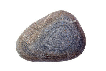Pebble from beach against a white background