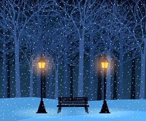 Tuinposter Winter park and outdoor landscape with bench, trees, streetlamps © derdy