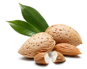 Almond nut isolated