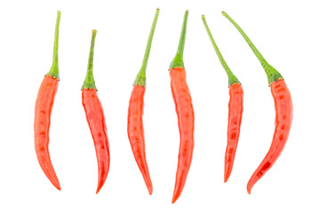 Red bird chili isolated on white background.