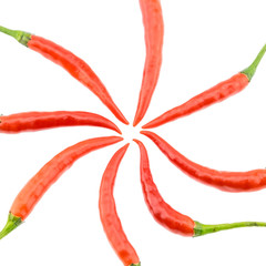 Red bird chili isolated on white background.