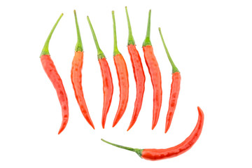 Red bird chili isolated on white background.