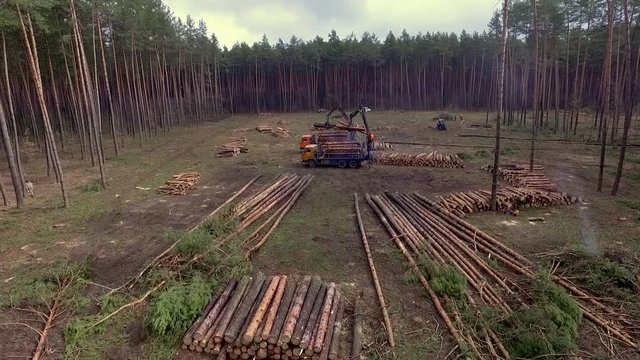 Aerial shot. The mechanical arm of a specialized Bark Removing Machine strips the bark from a freshly chopped tree trunk in a forest