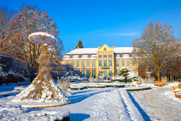 Snow covered city park in a winter day. Oliwa, Poland.