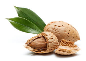 Almond nut isolated