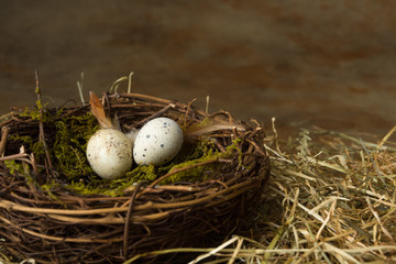 Naklejka na ściany i meble Small eggs in nest