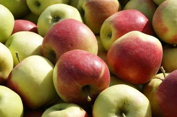 Jabłka Apple 