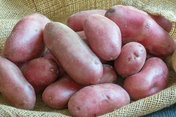 Pommes de terre rouges sur sac de toile