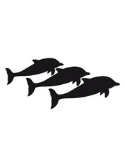 3 delfine friends team black silhouette outline dolphin jump cute cute