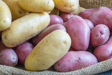 Pommes de terre rouges et blanches sur sac de toile