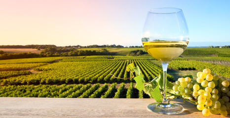 Witte wijn op een wijngaard in Frankrijk