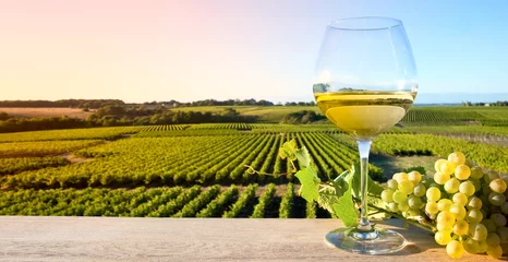 Fotobehang Witte wijn op een wijngaard in Frankrijk © Thierry RYO