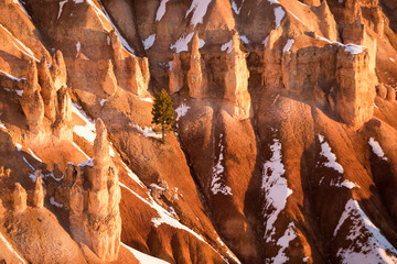 Hoodoos with snow, Bryce Canyon National Park