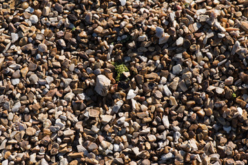 gravel