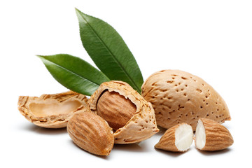 Almond nut isolated
