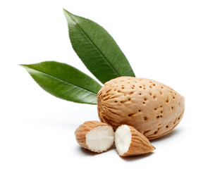 Almond nut isolated