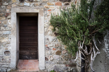 Fototapeta na wymiar Antica porta con albero