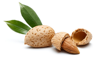 Almond nut isolated