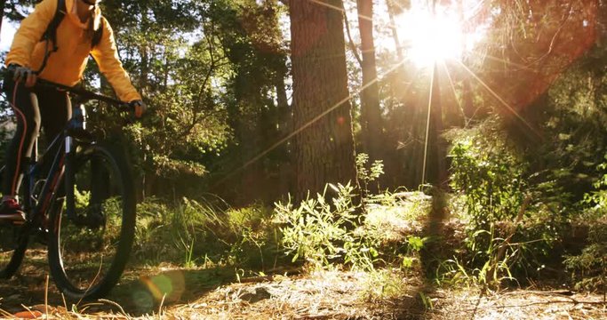 Male mountain biker riding in the forest