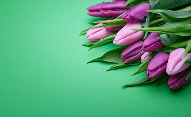 Delicate bouquet of tulips on a green background