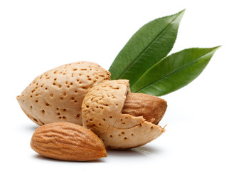 Almond nut isolated