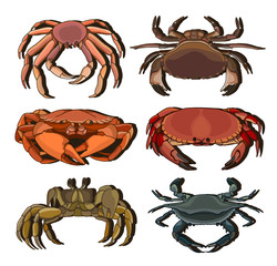 Set of vector crab icons