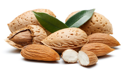 Almond nut isolated