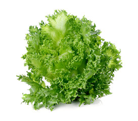 Obraz premium Green lettuce isolated on white background.