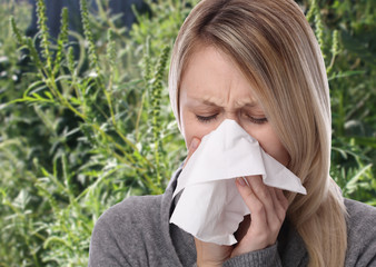Pollen allergy, ambrosia artemisiifolia summer. Women sneezing in a tissue
