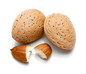Almond nut isolated