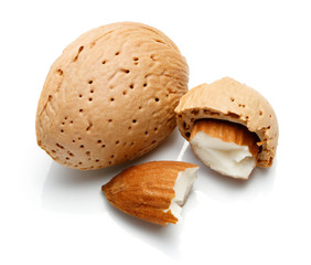 Almond nut isolated