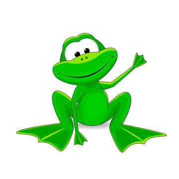Frog. Little green frog
