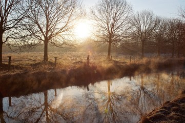 Niers zwischen Süchteln und Oedt
