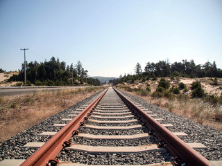 Fototapeta na wymiar Rural Train Tracks