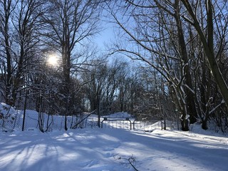 Morgendliche Winterlandschaft mit Schnee bei aufgehender Sonne