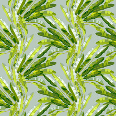 Obraz premium Seamless pattern with tropic plants