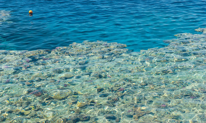 Crystal clear turquoise sea with corals and reefs