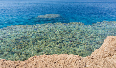 Obraz premium Clear turquoise sea with corals and reefs on a summer day