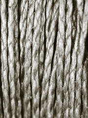 coil of rope as background